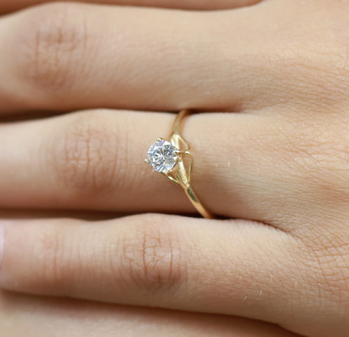 Anillo De Compromiso Raíz