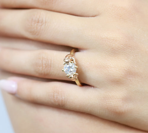 Anillo de Compromiso Osos