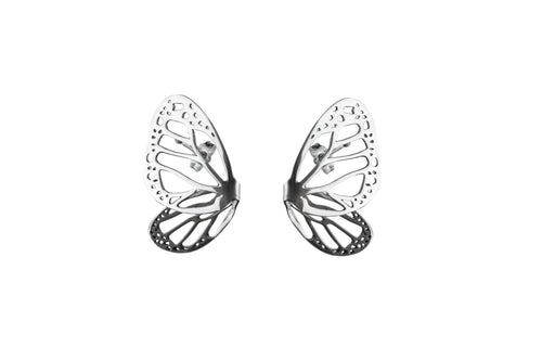 Aretes Fragmento Monarca