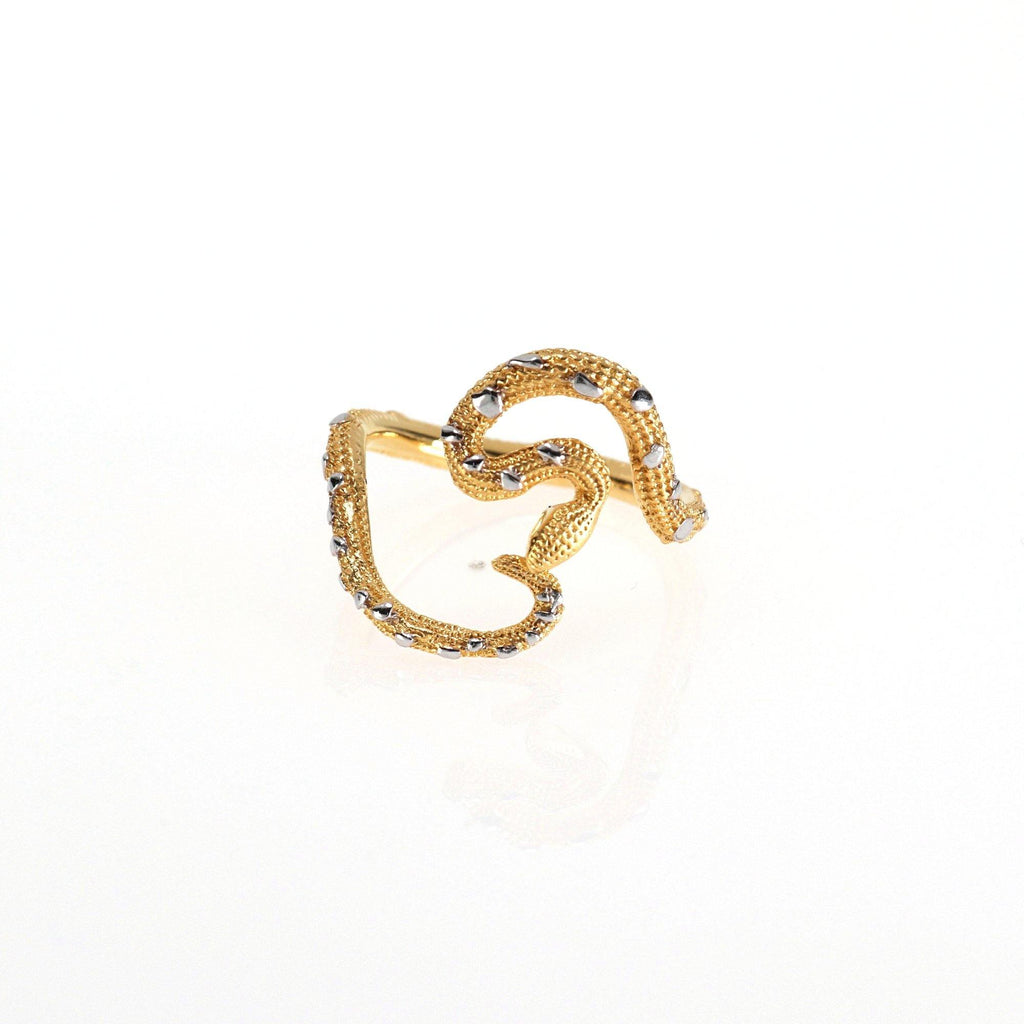 Anillo Guardian of Secrets de Plata - Alnur Joyería